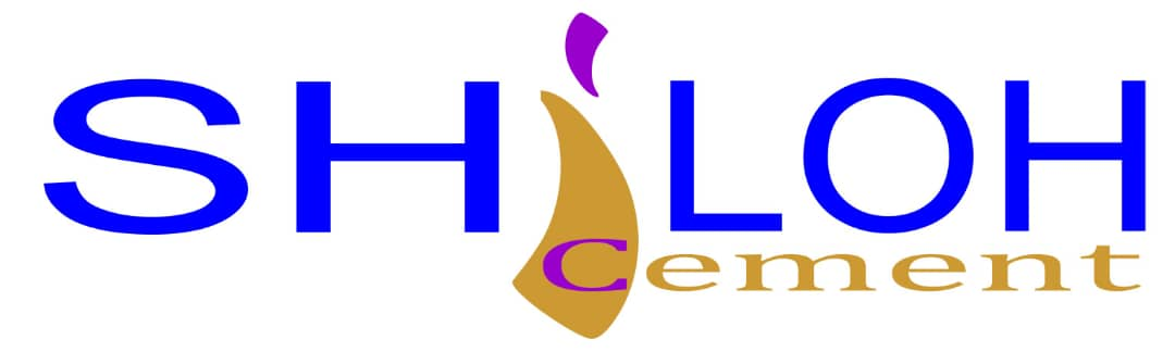 Cat and human sitting on a couch